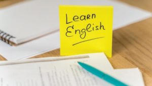 یادگیری زبان برای شغل