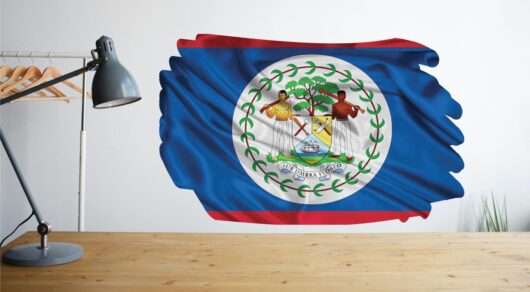 تحصیل در بلیز