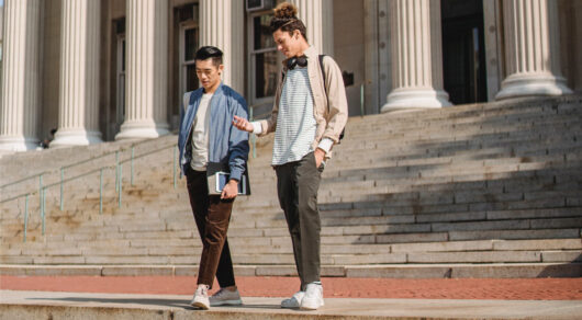 دانشگاه لیموژ